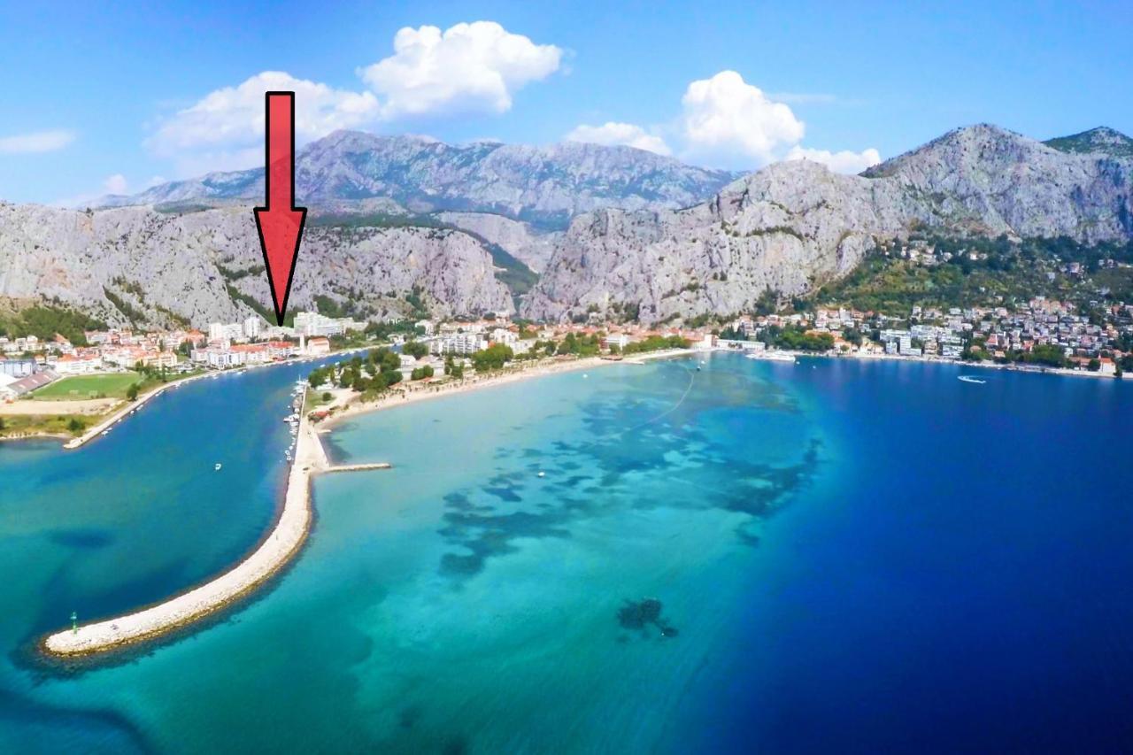 Vogue Omis